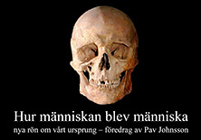 ett förhistoriskt människokranium mot svart bakgrund